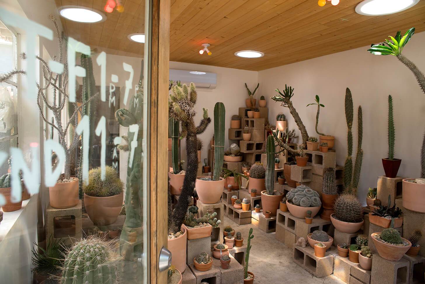 Hot Cactus  garrettleight.eu