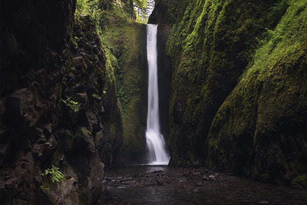 Pacific Northwest