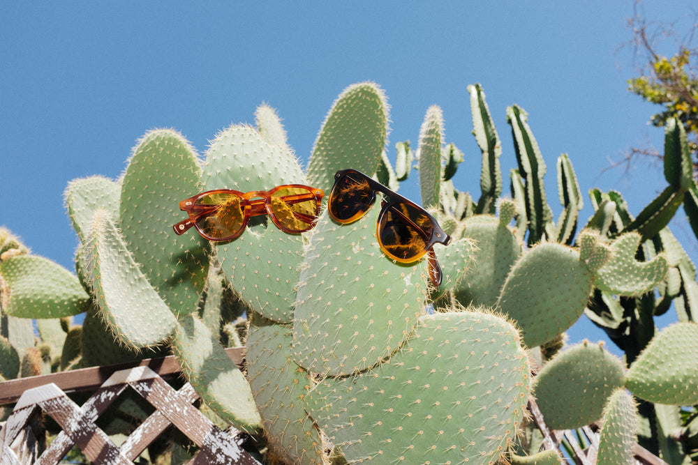 GLCO Hampton X and Harding Sunglasses