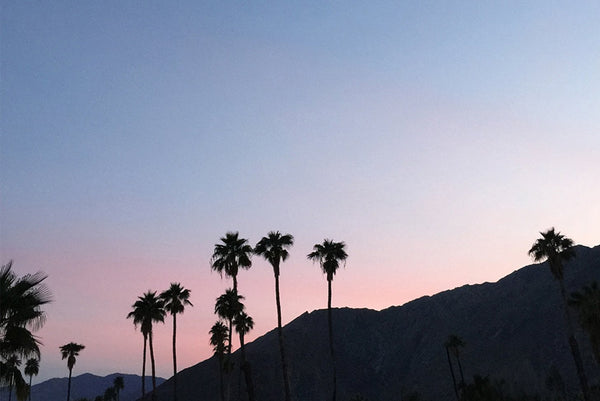 California Desert Giveaway