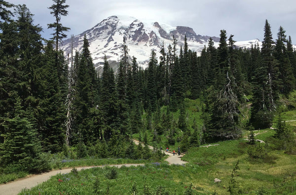 Mt. Rainier