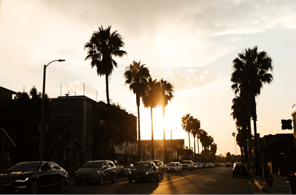 Neighborhood Guide: Abbot Kinney