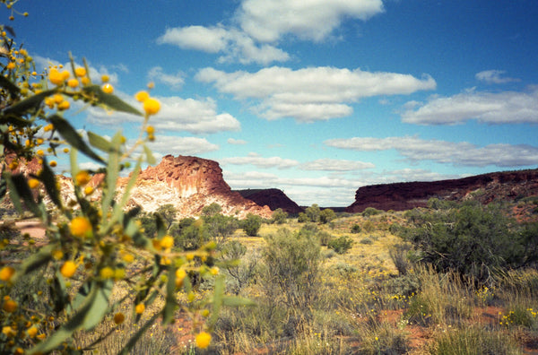 The Outback