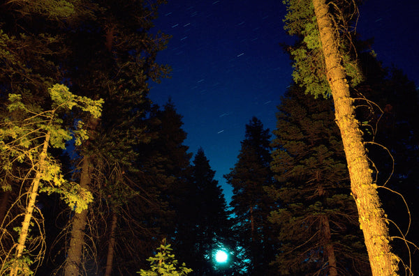 Yosemite National Park