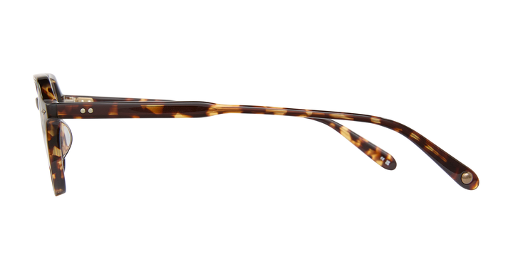 Agate Tortoise