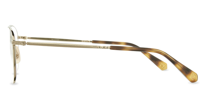 White Gold-Yellowjacket Tortoise