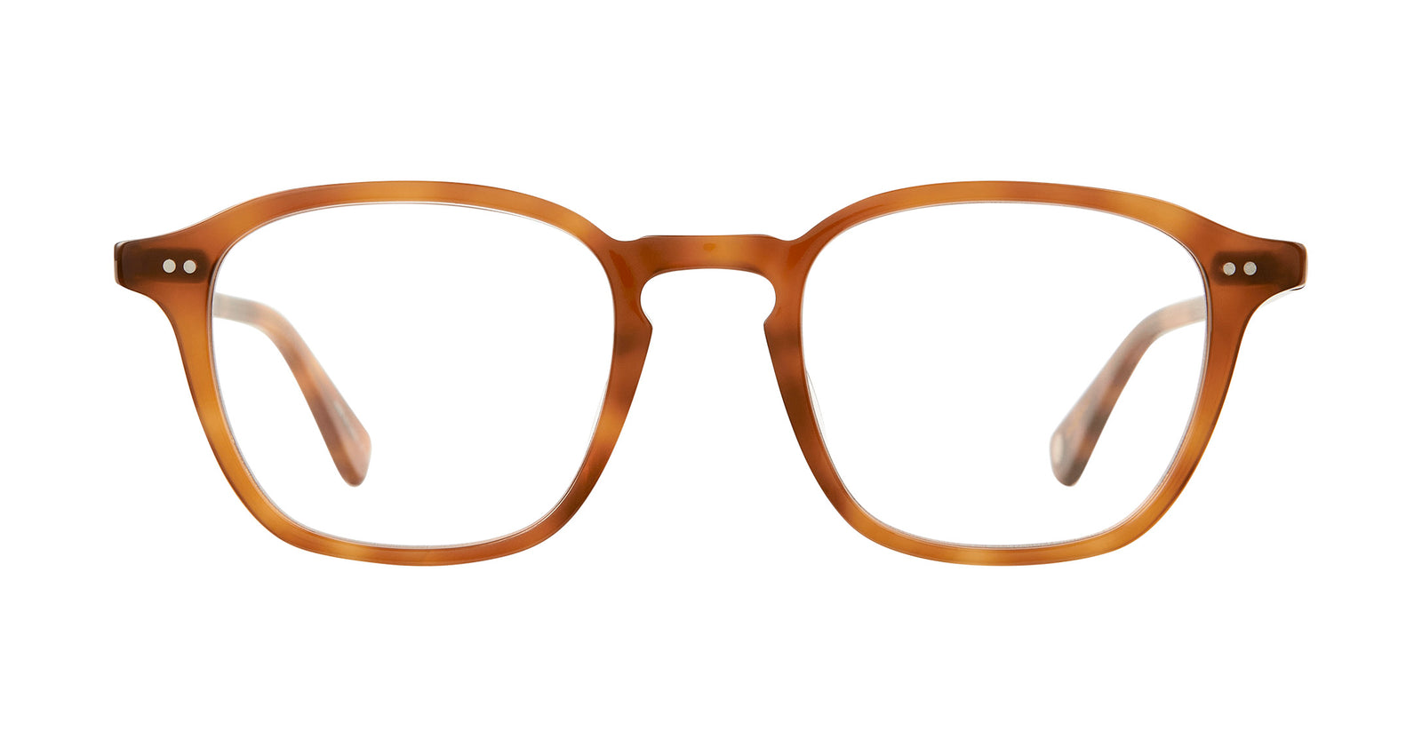 Honey Blonde Tortoise