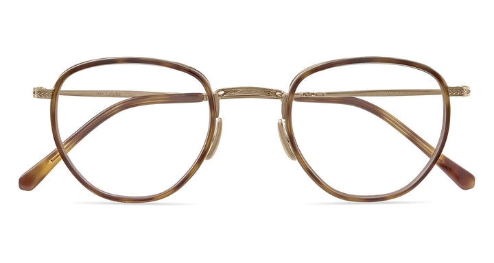 Yellowjacket Tortoise-Gold