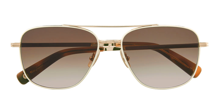 Phosphorous-Spotted Brown Shell/Semi-Flat Sepia Gradient