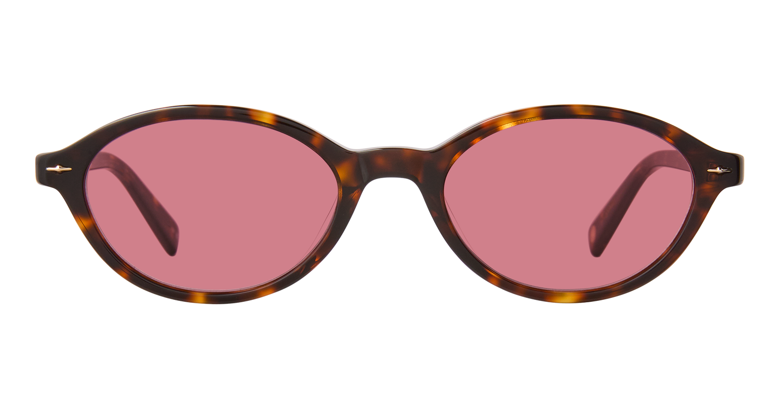 Marigold Tortoise