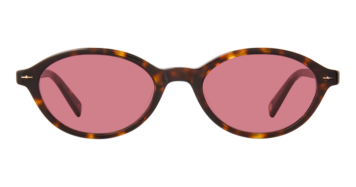 Marigold Tortoise