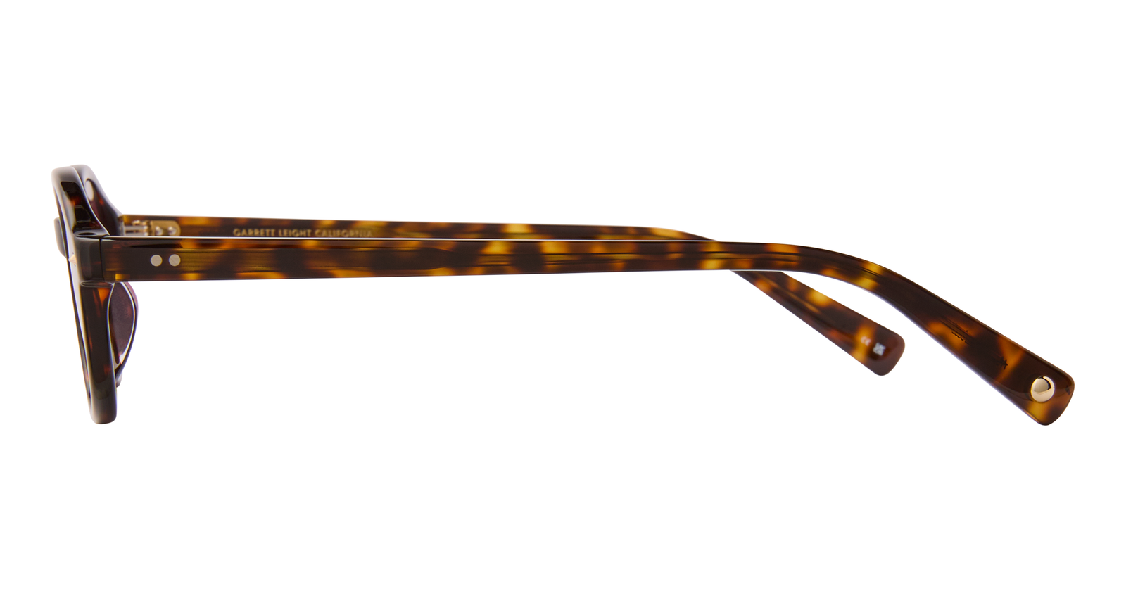 Marigold Tortoise