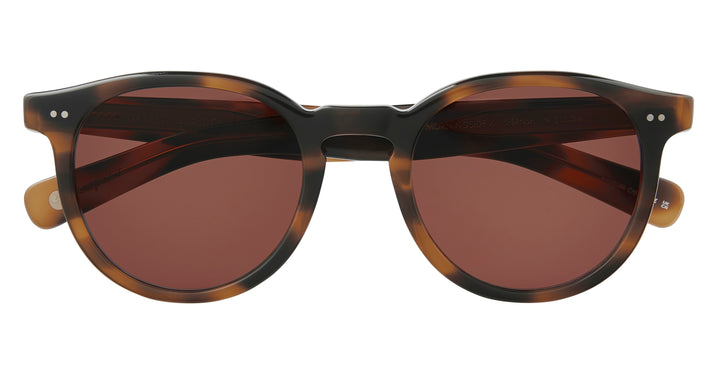 Spotted Brown Shell/Auburn