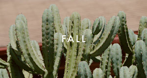 fall garrett leight sunglasses and eyeglasses
