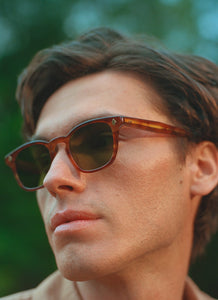 lifestyle|overlay|Ace SUN::47::Honey Amber Tort